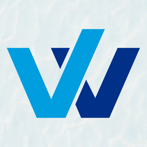 WinToPay 支付 图标